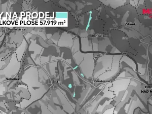 Prodej lesa, Bílá, 22447 m2