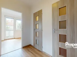 Prodej bytu 1+1, Teplice - Trnovany, Palackého, 36 m2