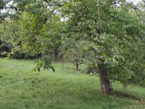 Prodej rodinného domu, Suchomasty, 160 m2