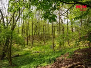 Prodej pozemku pro bydlení, Šenov, 6241 m2