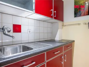 Prodej bytu 1+1, Příbram - Příbram II, Dlouhá, 31 m2
