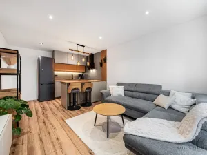 Prodej bytu 3+kk, Sokolov, Švabinského, 59 m2