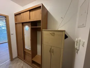 Pronájem bytu 1+1, Mladá Boleslav - Mladá Boleslav II, Svojsíkova, 38 m2