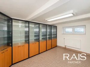 Prodej rodinného domu, Hodonín, Muchova, 235 m2