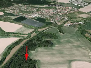 Prodej lesa, Trhový Štěpánov, 1133 m2