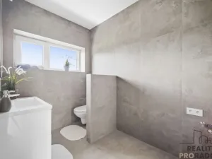Prodej rodinného domu, Kladruby nad Labem - Bílé Vchynice, 123 m2