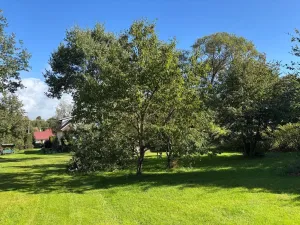 Prodej rodinného domu, Lidmaň, 120 m2