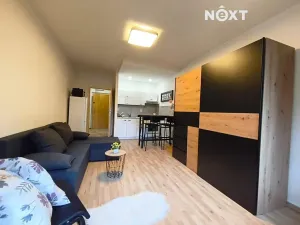 Pronájem bytu 1+kk, Bohumín, Svat. Čecha, 28 m2