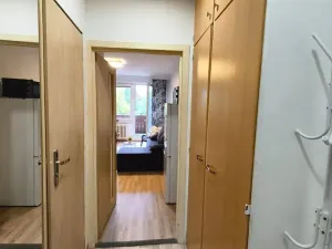 Pronájem bytu 1+kk, Bohumín, Svat. Čecha, 28 m2