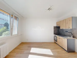 Pronájem bytu 1+1, Chomutov, Březenecká, 33 m2