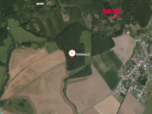 Prodej lesa, Roštění, 947 m2