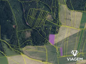 Prodej podílu pole, Zábřeh, 2706 m2