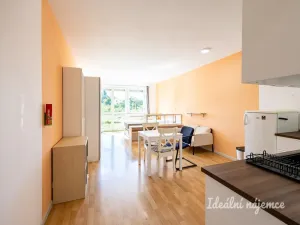 Pronájem bytu 1+kk, Brandýs nad Labem-Stará Boleslav - Brandýs nad Labem, Vrábská, 40 m2