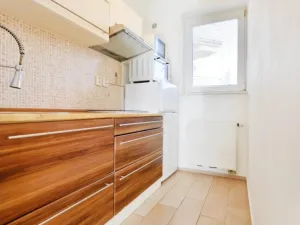 Prodej bytu 1+1, České Budějovice - České Budějovice 2, Lipová, 35 m2
