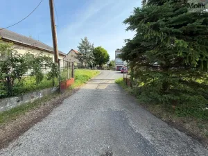 Prodej obchodního prostoru, Libčeves, U Okálů, 4181 m2