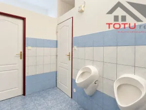 Prodej obchodního prostoru, Kostelec nad Orlicí, Mánesova, 1058 m2