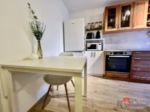 Pronájem bytu 1+1, Opava - Kateřinky, Dobrovského, 40 m2