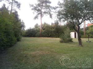Prodej pozemku pro bydlení, Březová-Oleško - Březová, V Lísku, 1311 m2