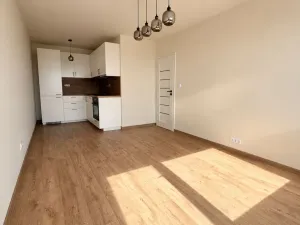 Prodej bytu 2+kk, Kladno - Kročehlavy, Na růžovém poli, 40 m2