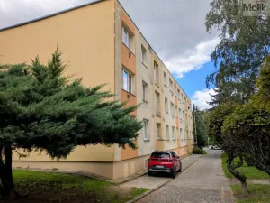 Pronájem bytu 2+1, Teplice, Josefa Suka, 49 m2