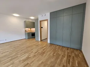 Pronájem bytu 1+kk, Praha, Hartigova, 53 m2