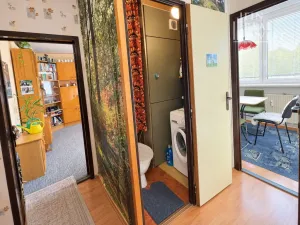 Prodej bytu 4+1, Hodonín, 85 m2
