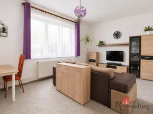 Pronájem bytu 3+1, Nové Mitrovice, 67 m2