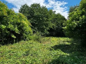 Prodej pozemku pro bydlení, Hulín - Chrášťany, 3043 m2