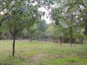 Prodej pozemku pro bydlení, Hulín - Chrášťany, 3043 m2