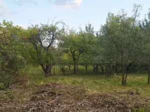 Prodej pozemku pro bydlení, Hulín - Chrášťany, 3043 m2