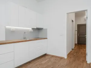 Pronájem bytu 1+kk, Praha - Žižkov, Řehořova, 30 m2