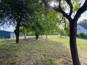 Prodej pozemku pro bydlení, Horní Police - Podlesí, 744 m2