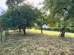 Prodej pozemku pro bydlení, Horní Police - Podlesí, 744 m2