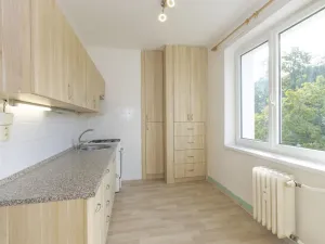 Prodej bytu 2+1, Pardubice - Zelené Předměstí, Pichlova, 54 m2