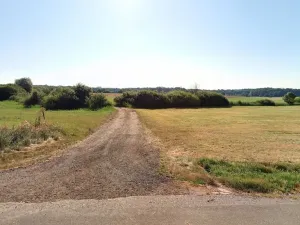 Prodej podílu pozemku, Vysoké Chvojno, 4786 m2