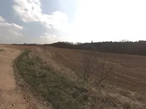 Prodej podílu pole, Zvěstovice, 423 m2