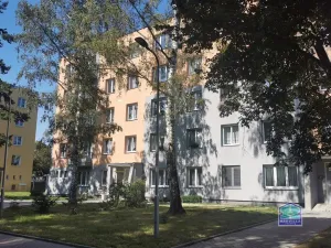 Pronájem bytu 2+1, Stříbro, Brožíkova, 46 m2