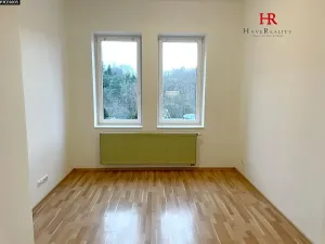 Pronájem bytu 1+kk, Týnec nad Sázavou, 24 m2