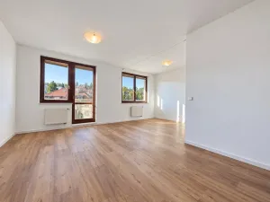 Pronájem bytu 1+kk, Praha - Podolí, Dvorecká, 43 m2