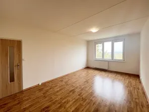 Pronájem bytu 2+1, Chomutov, Borová, 60 m2