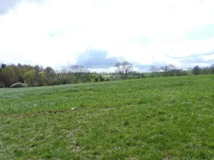 Dražba pozemku, Chotýšany, 15282 m2