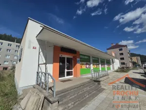 Prodej obchodního prostoru, Úpice, Na Veselce, 600 m2