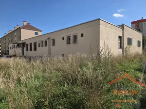Prodej obchodního prostoru, Úpice, Na Veselce, 600 m2