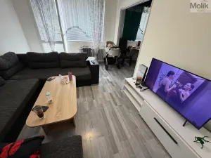 Prodej bytu 3+1, Most, K. H. Borovského, 54 m2