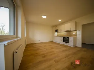Pronájem bytu 1+kk, Rychnov u Jablonce nad Nisou, Mlýnská, 38 m2