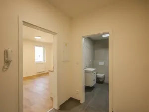 Pronájem bytu 1+kk, Rychnov u Jablonce nad Nisou, Mlýnská, 38 m2