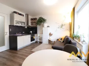 Pronájem bytu 1+kk, Hradec Králové - Pražské Předměstí, Václavkova, 32 m2
