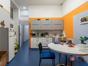 Prodej činžovního domu, Brno - Veveří, Veveří, 999 m2