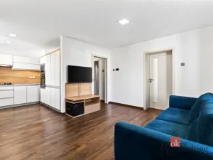 Prodej bytu 3+kk, Opava - Předměstí, Stará silnice, 57 m2