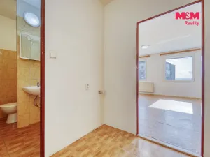 Pronájem bytu 1+kk, Plzeň - Bolevec, Krašovská, 30 m2
